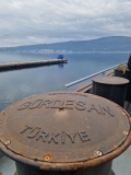 Adriatic 42, Bijela, druga grupa maturanata (8)