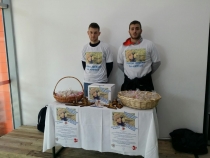 za Andjelu (10)