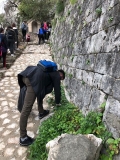 Obilazak i ciscenje gradskih zidina (5)